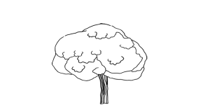 tei